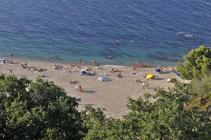 Chambres D'Hotes De La Grone Argelès-sur-Mer Zewnętrze zdjęcie
